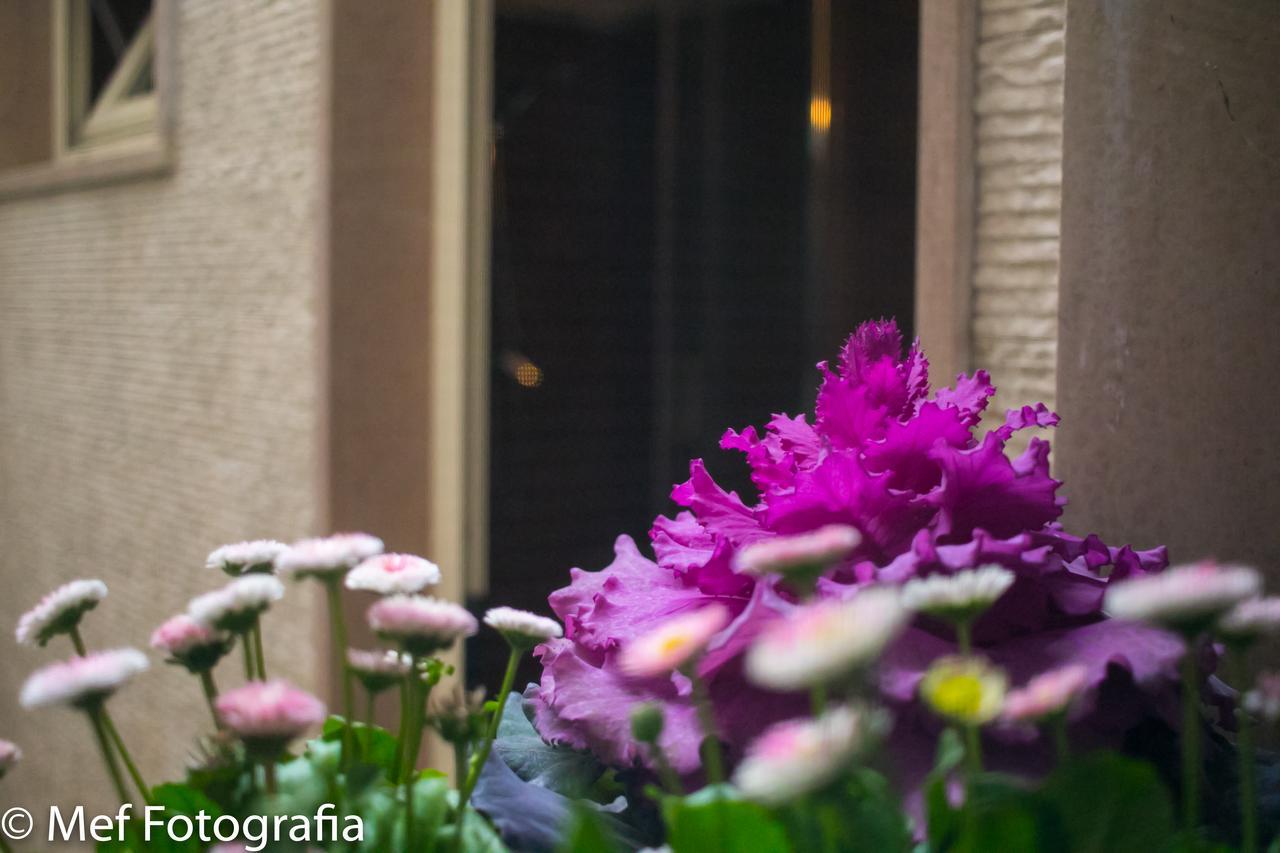 Apartamento Miklu Luxury Lecce